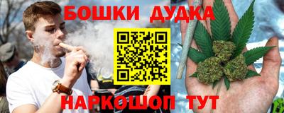 индика Волжский