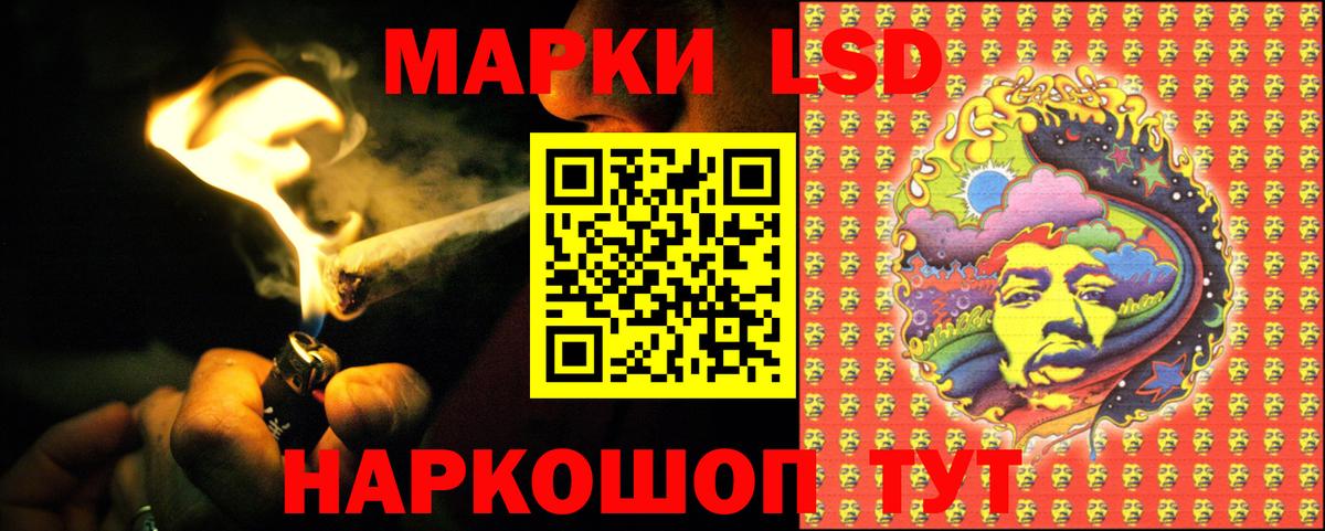 Курчатов  LSD-25 экстази кислота  Лсд 25 экстази  Вход с VPN 