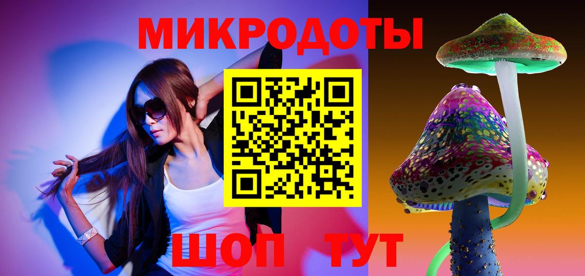 Курчатов  Псилоцибиновые грибы Psilocybine cubensis  Вход с VPN 