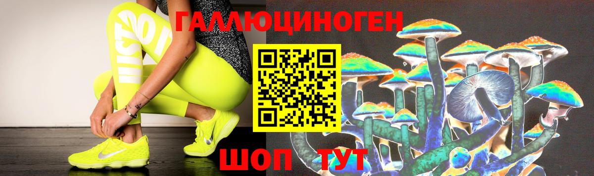 Псилоцибиновые грибы Psilocybe Курчатов