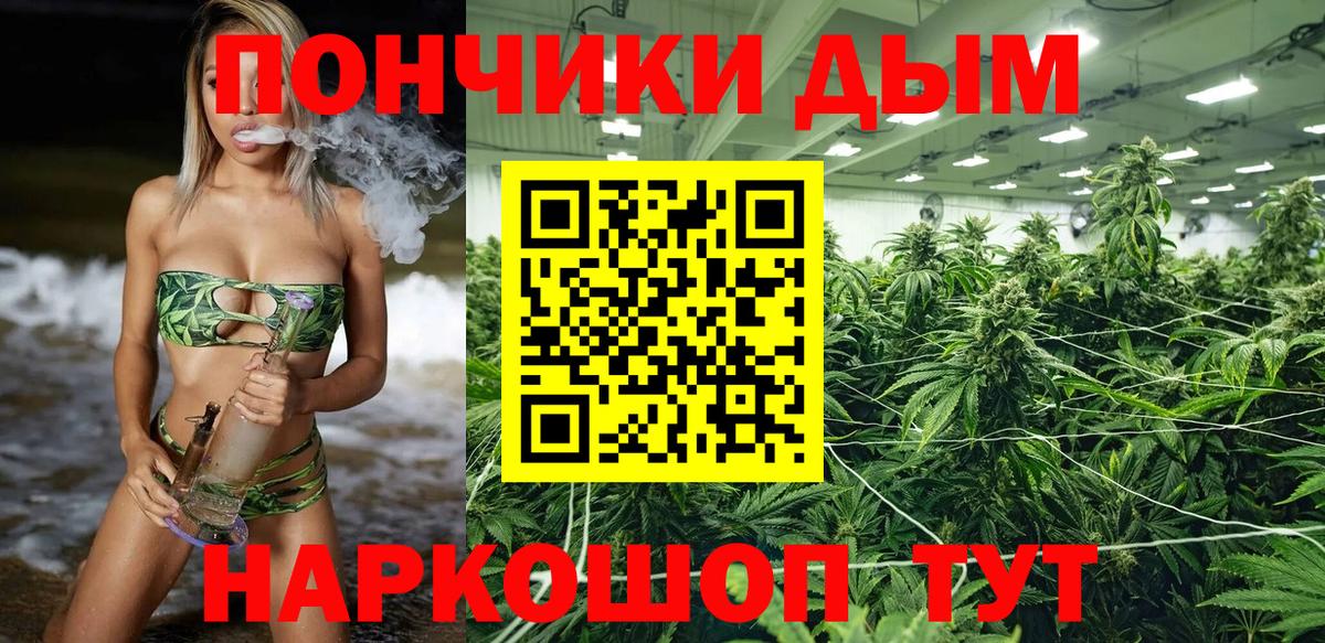 Конопля гибрид Курчатов